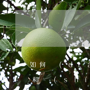如何調(diào)整花唄延期還款的日期和時(shí)間？